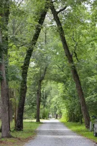 The River House~1225 South Holly Shelter Estate - image 69 of 70