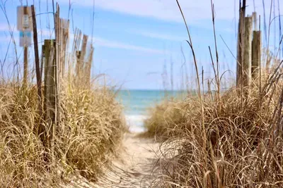 Lumina by the Sea LOWER~1200 N Wrightsville Ave - image 46 of 46
