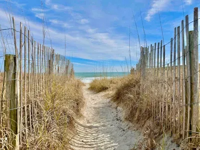 Lumina by the Sea LOWER~1200 N Wrightsville Ave - image 42 of 46