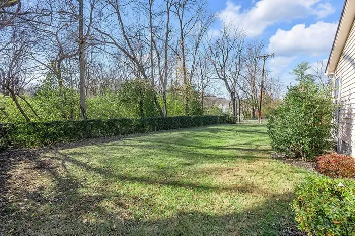 The Mane Stay | 3 BR | Walk to Dining | Close to UK - image 22 of 49