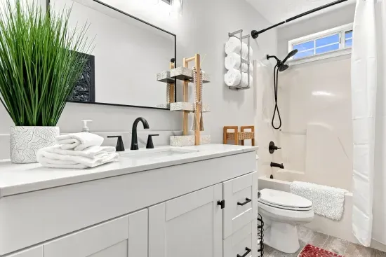 Bright modern bathroom with stylish black fixtures and fresh spa-like touches
