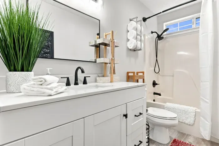 Bright modern bathroom with stylish black fixtures and fresh spa-like touches