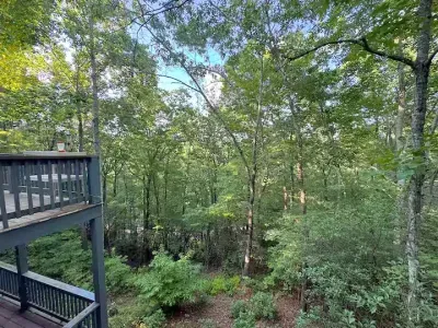 Step out under the trees where the deck feels tucked into the forest — pure seclusion with nature as your backdrop
