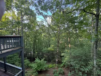Surrounded by trees, the deck feels private and peaceful, with nature as your backdrop.