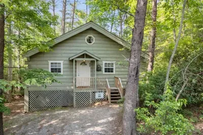 Surrounded by nature in every direction. This drone view shows how tucked-away and tranquil Honey Bee Cabin truly is.