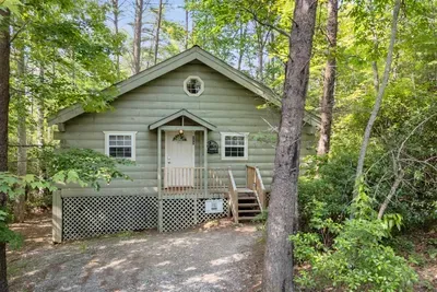 Surrounded by nature in every direction. This drone view shows how tucked-away and tranquil Honey Bee Cabin truly is.