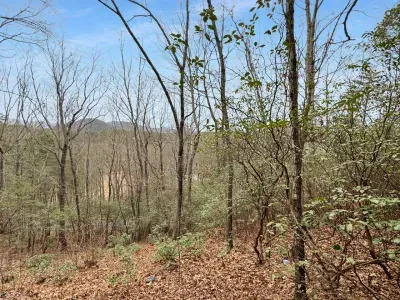 Surrounded by trees and fresh mountain air, this is a place to slow down and feel away from it all.