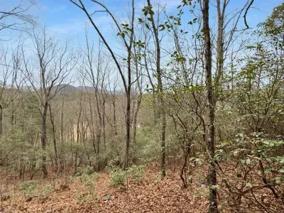 Surrounded by trees and fresh mountain air, this is a place to slow down and feel away from it all.