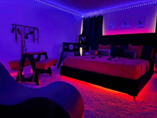 From soft romance to bold energy — every space adapts to your mood.