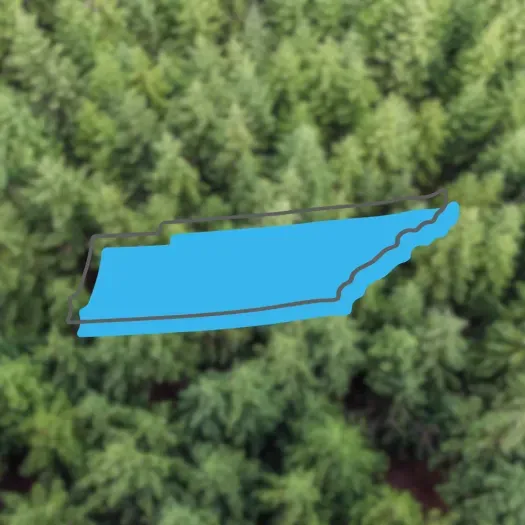Tennessee