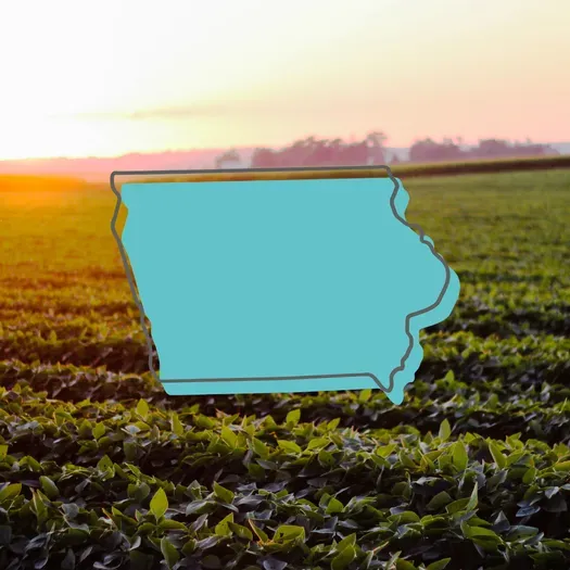 Iowa
