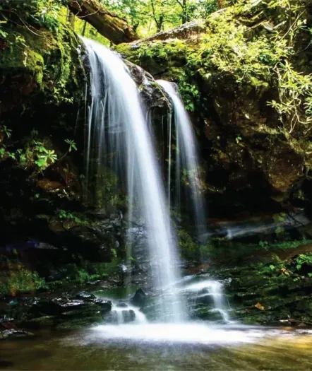 Best Smokies Waterfalls: Abrams Falls, Grotto Falls, Laurel Falls, Rainbow Falls
