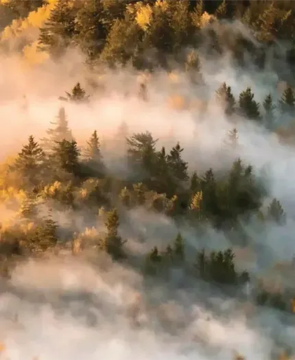 The "Smoky" Mountains!