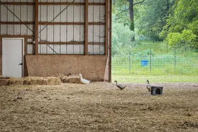Spring Green, WI - The Zoo Barn! Pool, Hot Tub, Bball/Pkbl, Theater - image 74 of 85