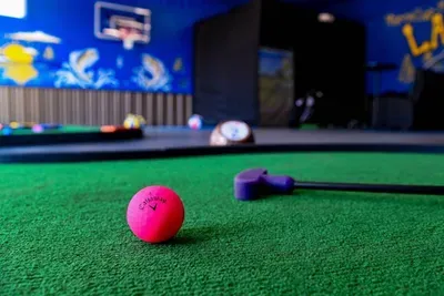 Marcellus, MI - Golf Sim/5-Hole Mini Golf/B-Ball Court/Theater/Jungle Gym/Hot Tub/Firepit/Basement Saloon - image 67 of 85