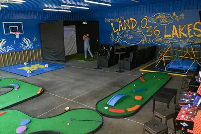 Marcellus, MI - Golf Sim/5-Hole Mini Golf/B-Ball Court/Theater/Jungle Gym/Hot Tub/Firepit/Basement Saloon - image 61 of 85