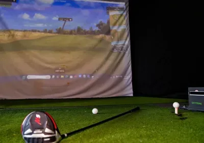 Marcellus, MI - Golf Sim/5-Hole Mini Golf/B-Ball Court/Theater/Jungle Gym/Hot Tub/Firepit/Basement Saloon - image 65 of 85