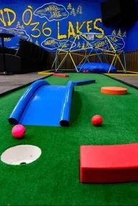 Marcellus, MI - Golf Sim/5-Hole Mini Golf/B-Ball Court/Theater/Jungle Gym/Hot Tub/Firepit/Basement Saloon