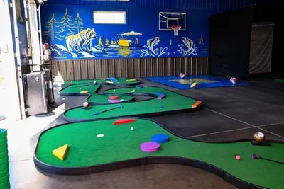 Marcellus, MI - Golf Sim/5-Hole Mini Golf/B-Ball Court/Theater/Jungle Gym/Hot Tub/Firepit/Basement Saloon - image 62 of 85