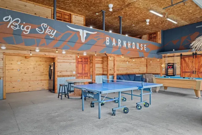 Ping Pong / Pool Table