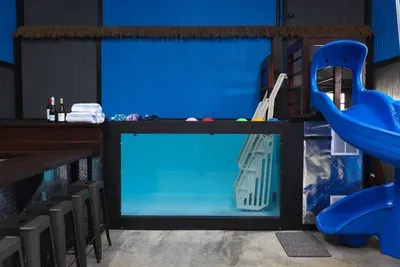 Big Rapids, MI - Barnapalooza! Indoor Glass Pool/Slide, Sleeps 20+ - image 62 of 79