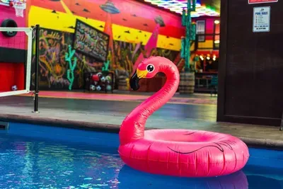 Lacona, IA - Wild Warehouse in the Cornfields with a Party Pool Oasis, Full-Court Sports Complex, Mini Golf Adventure Park, Karaoke Sports Bar & More! - image 62 of 120
