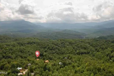 Treehouse Resort aerial view