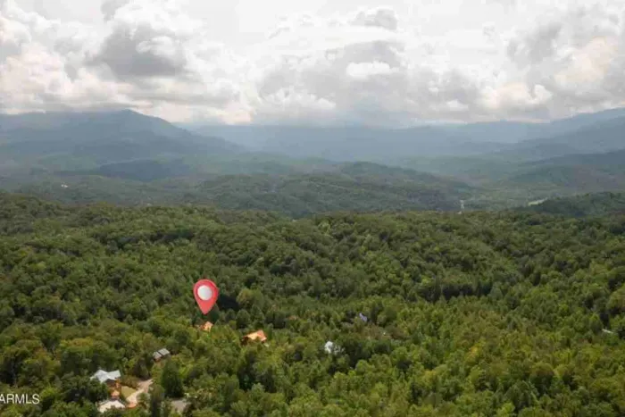 Treehouse Resort aerial view