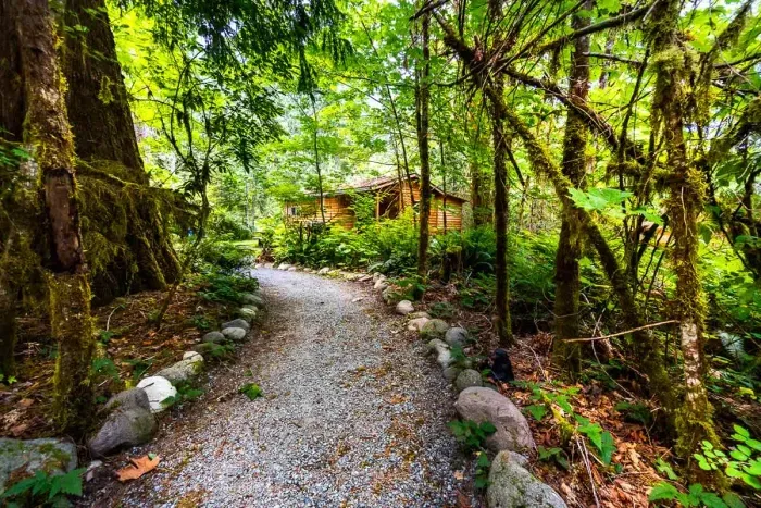 Camp Hideaway - Dog friendly and River Beach - image 1 of 28