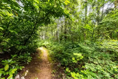 Camp Hideaway - Dog friendly and River Beach - image 17 of 28