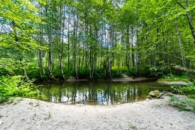 Camp Hideaway - Dog friendly and River Beach - image 20 of 28