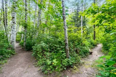 Camp Hideaway - Dog friendly and River Beach - image 19 of 28