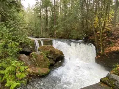 Whatcom Falls Park offers 3.5 miles of walking trails that showcase 4 different falls. It's peaceful and beautiful and worth checking out. :) There are even fishing ponds for kids under 14! What's not to love?