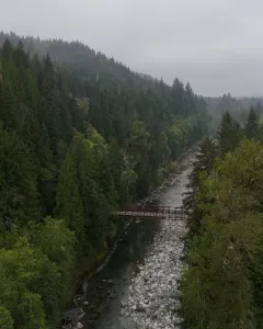 The aerial view of the Stillaguamish River is beautiful in every season. Fishing is a big deal out here, so bring your pole and enjoy the river's bounty. :) Be sure to check with fish and wildlife for rules and regulations.