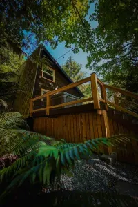 The lush greenery surrounding the cabin makes for a peaceful Northwest experience. :)
