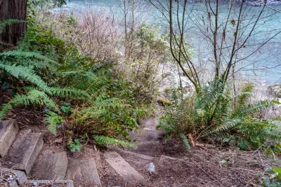 Just another view of the steps to the river. :)