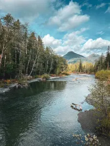 The South Fork of the Stillaguamish River....What a beauty. And depending on the season, it's great for fishing, white water rafting, swimming, tubing, or a winter cold-plunge. Come check it out!