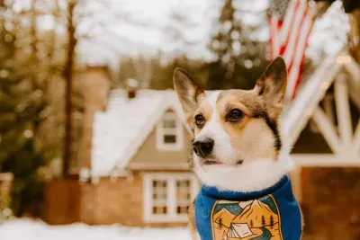 If you love traveling with your pup, Stilly River Haus is a favorite spot to land with your fur baby. :) 