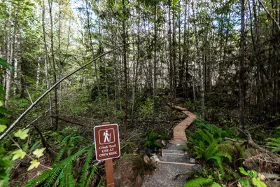 Backman Creek Hideaway | Creekside Spa Retreat - image 4 of 33