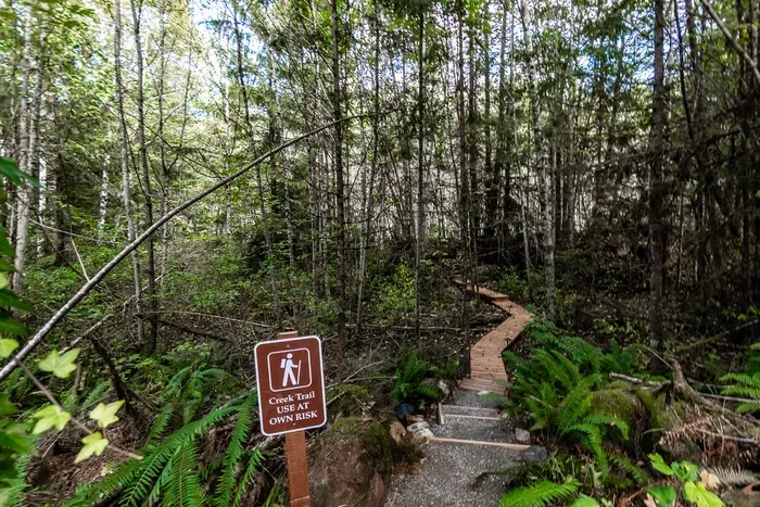 Backman Creek Hideaway | Creekside Spa Retreat - image 4 of 33