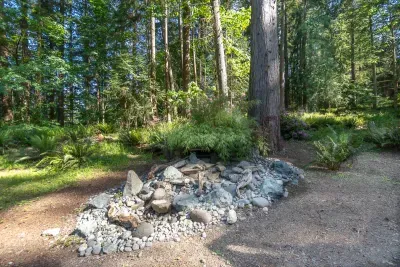 Fernwood Retreat  Hot Tub  Trails - image 52 of 61