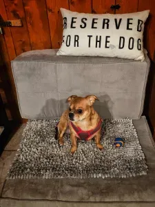If you decide to bring your pup along for the adventure, there is one piece of furniture reserved just for her. :)