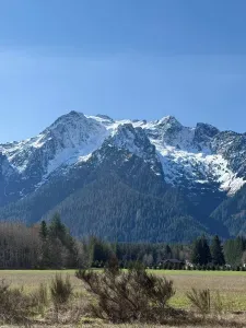 Regional scenery: snow-covered mountain peaks rise above trees and open land.