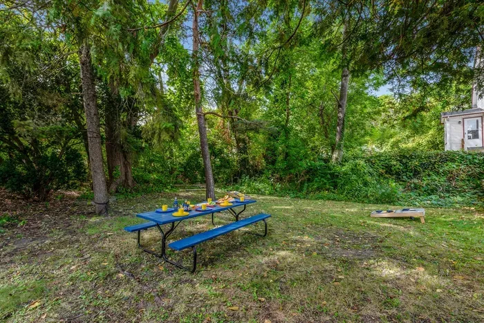 Picnic and corn hole in the shade on a sunny Michigan day, delightful.