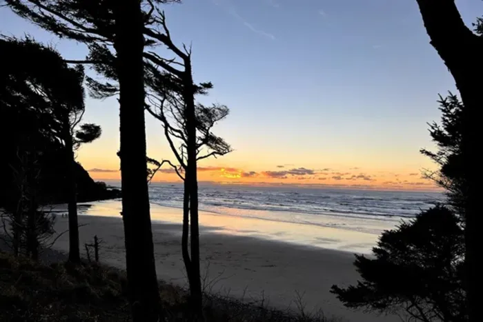Falcon Cove