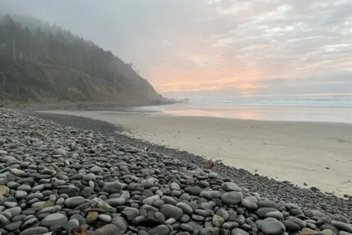 Falcon Cove is a magical place, steps from the cabin