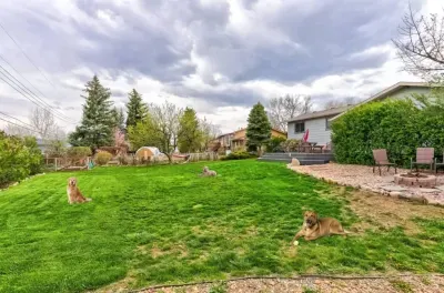Dog-friendly paradise! 🐶🌿 Let your pup roam this spacious backyard while you relax by the fire pit or hammock. A true retreat for you & your furry friend!
