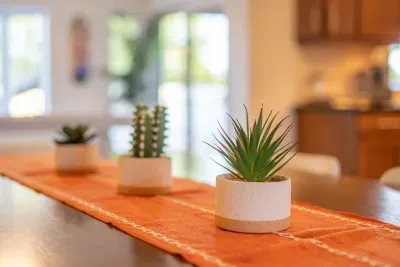 The Happy Cactus - image 59 of 83