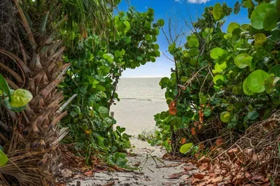 Private access to the beach
Step through tropical greenery and onto the sand. Direct, private access to the beach is just moments from your door.