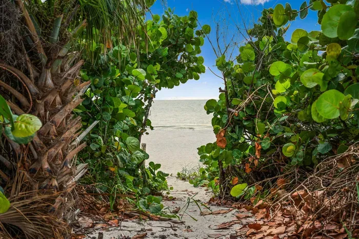 Private access to the beach
Step through tropical greenery and onto the sand. Direct, private access to the beach is just moments from your door.